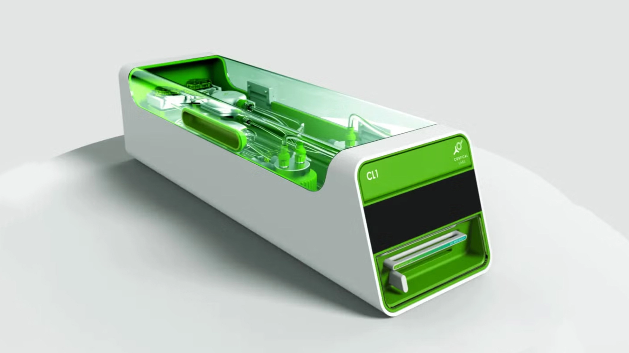A biocomputer